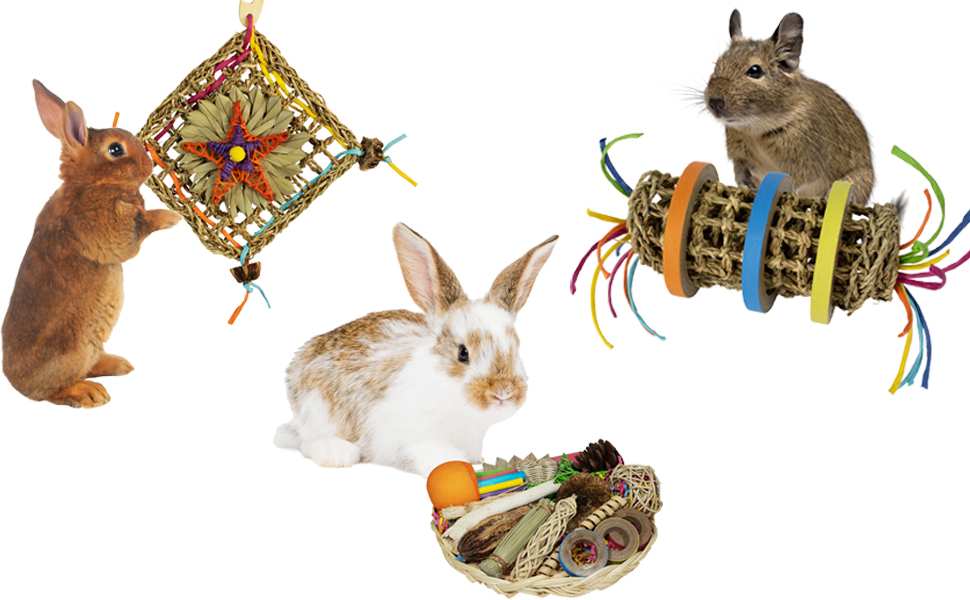 Small Animal Toys
